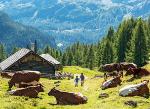 Reise nach Österreich - Salzburger Land