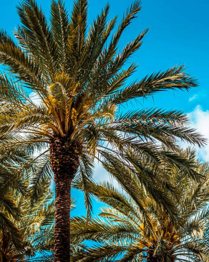 Kompetenz die überzeugt - Bernhard Reiseversicherungsmakler Kompetenz die überzeugt - Bernhard Reiseversicherungsmakler