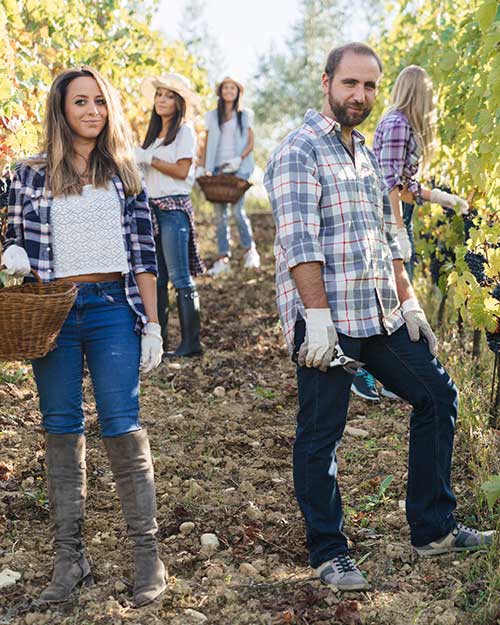 Das Wichtigste in Kürze - Erntehelferversicherung Das Wichtigste in Kürze - Erntehelferversicherung