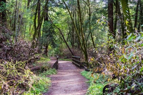 Die Heimat des Brockens – Der Harz Die Heimat des Brockens – Der Harz